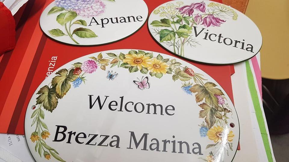 Brezza Marina Bed and Breakfast Marina Di Carrara Buitenkant foto